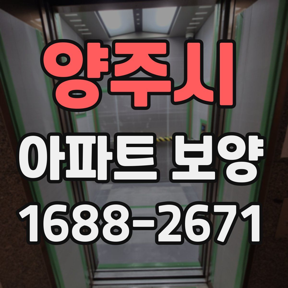 양주시 아파트 보양