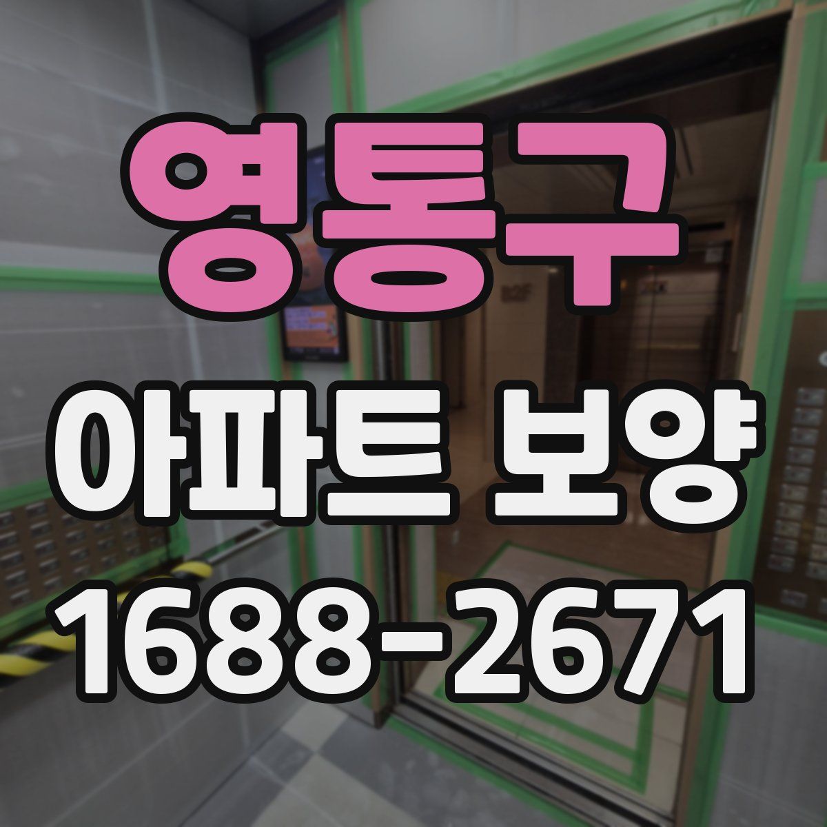 영통구 아파트 보양