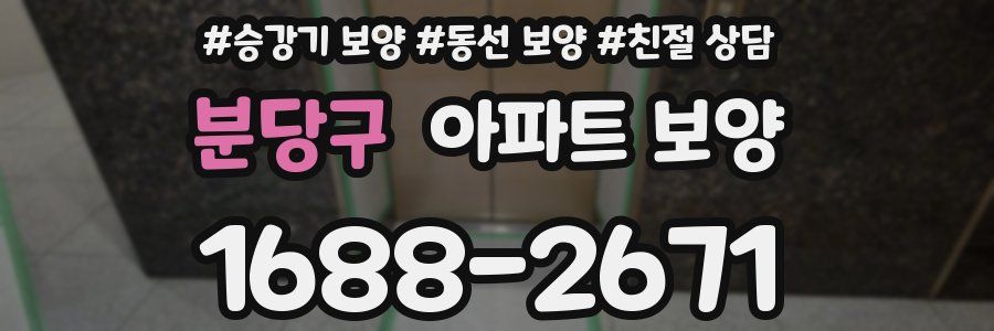 분당구 아파트 보양