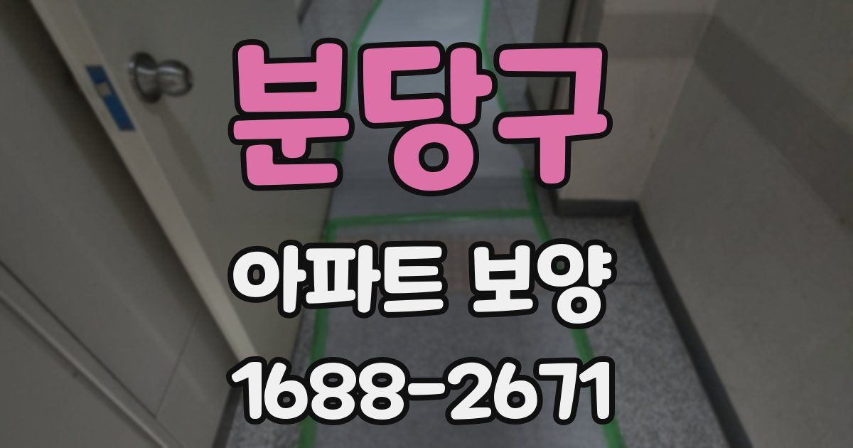 분당구 아파트 보양