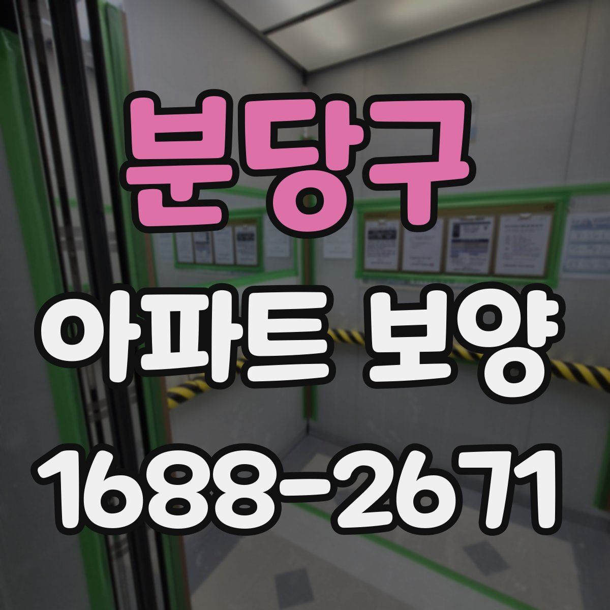 분당구 아파트 보양