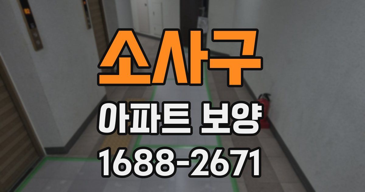 소사구 아파트 보양