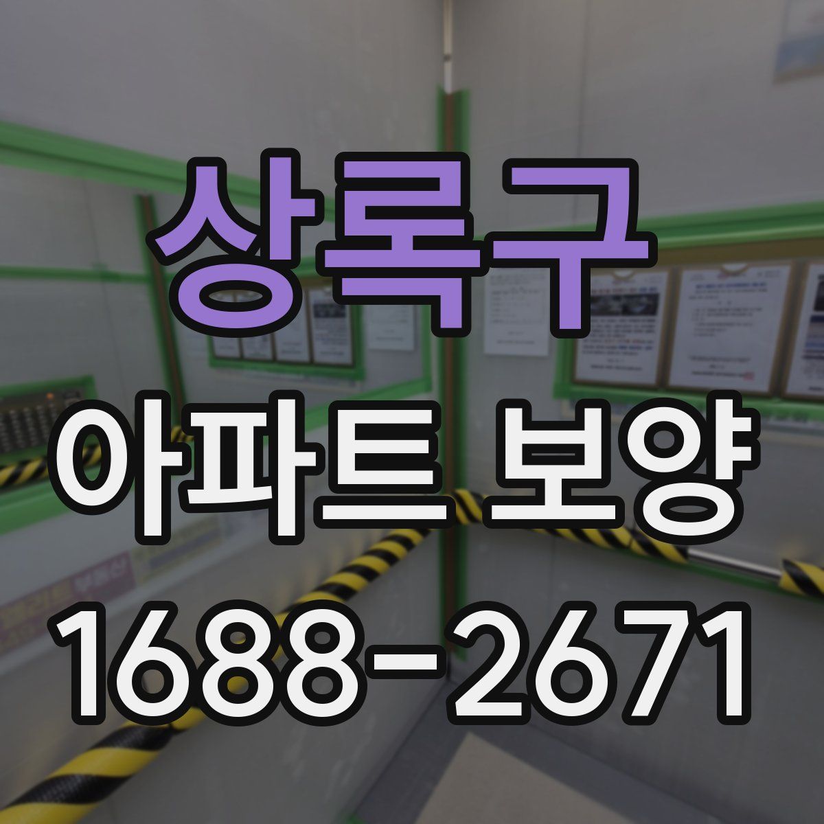 상록구 아파트 보양