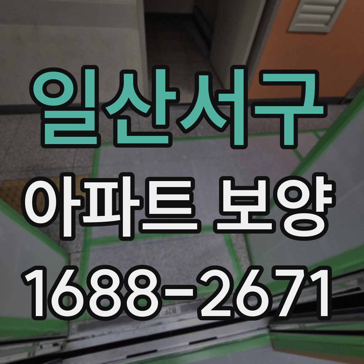 일산서구 아파트 보양