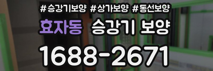 효자동 승강기 보양