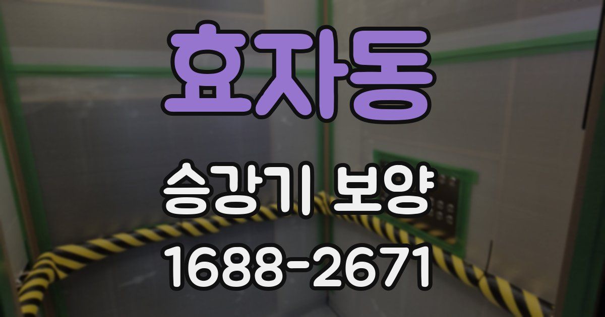 효자동 승강기 보양