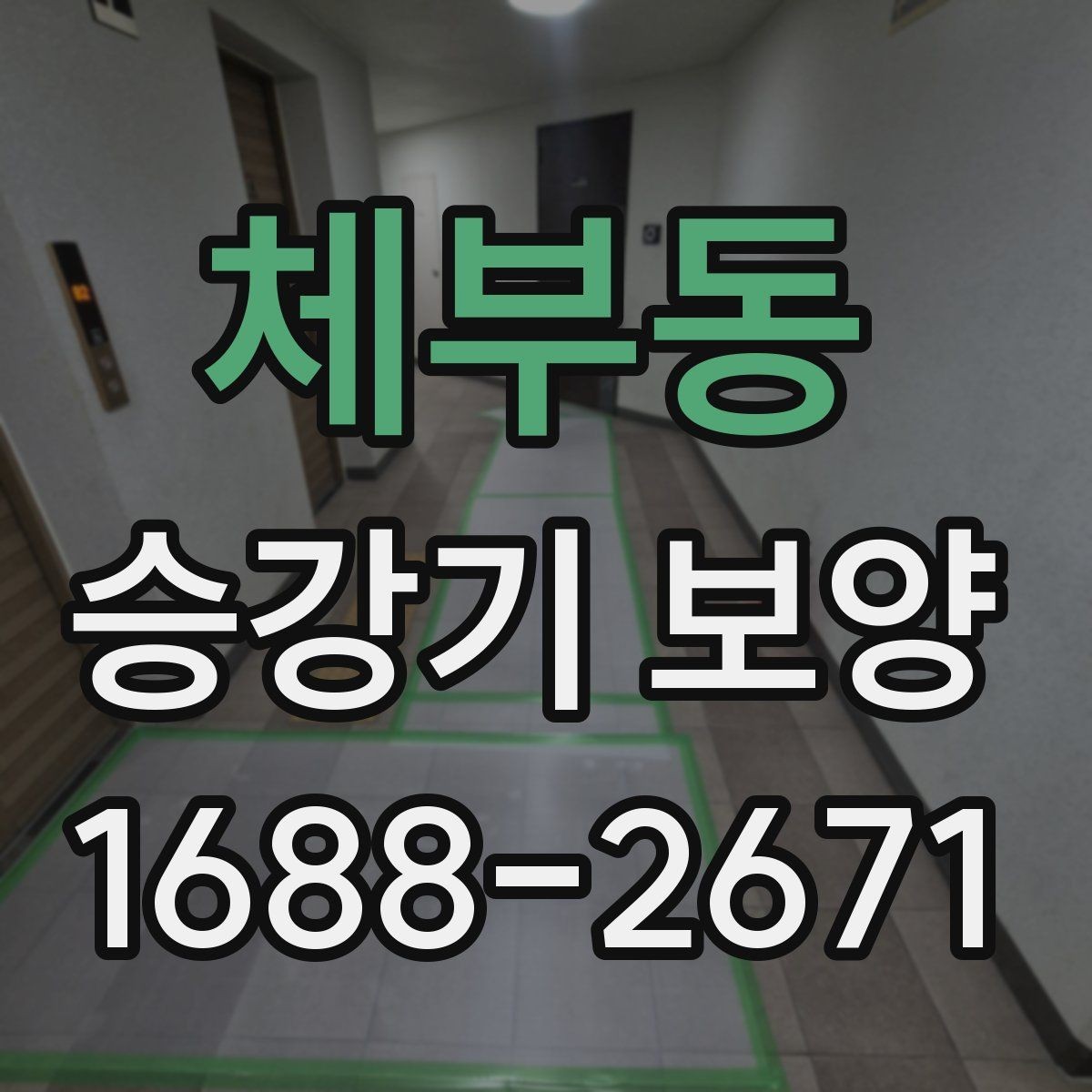 체부동 승강기 보양 비용과 범위는 어떻게 정해질까