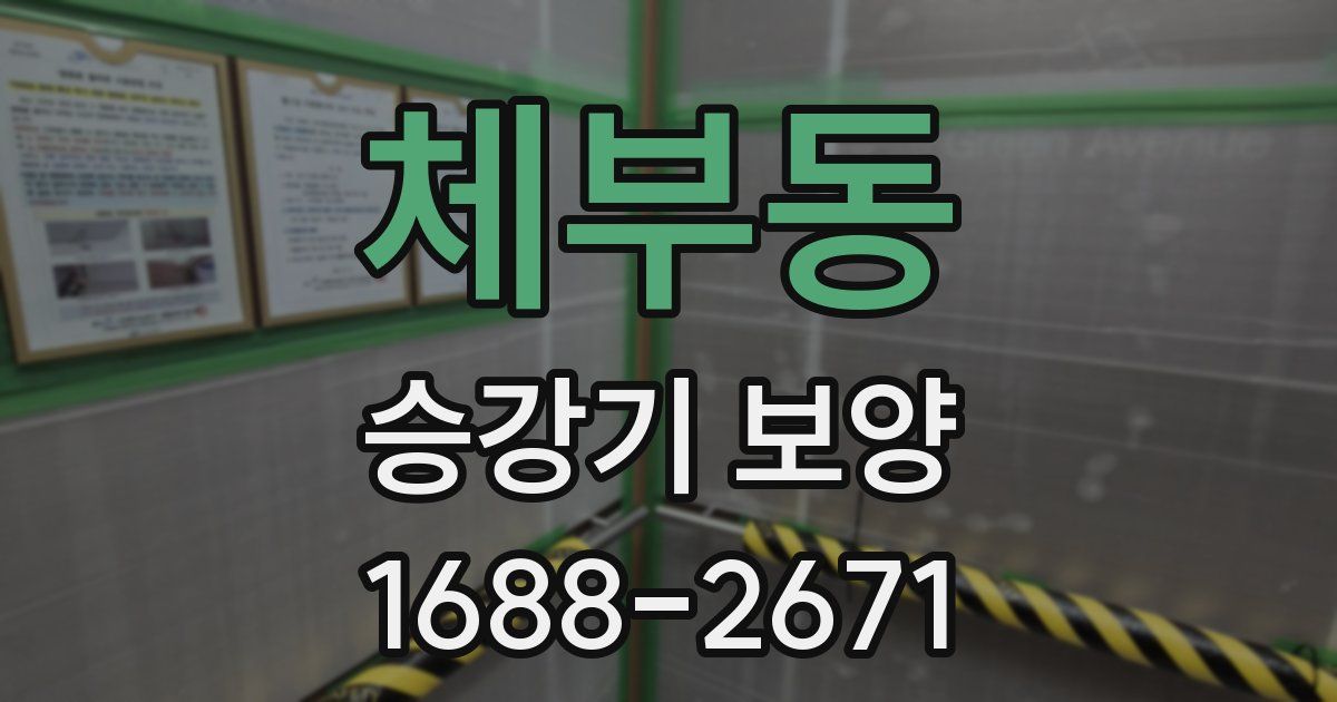 체부동 승강기 보양