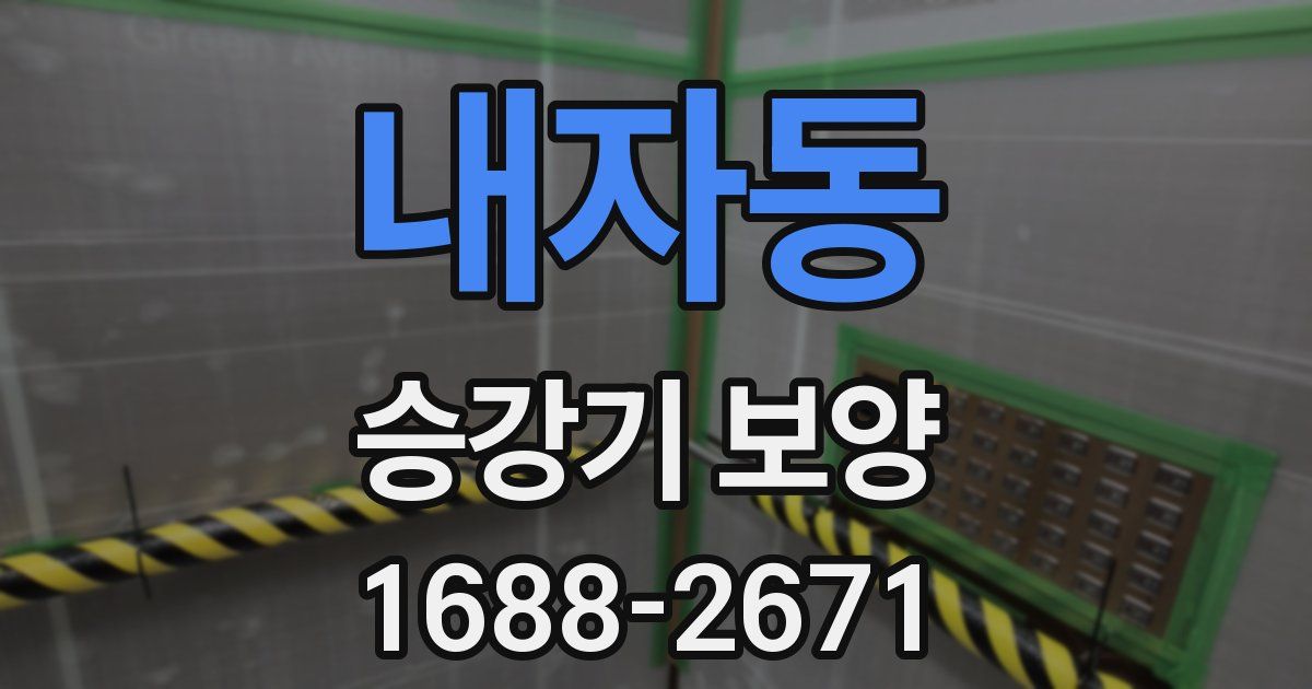 내자동 승강기 보양