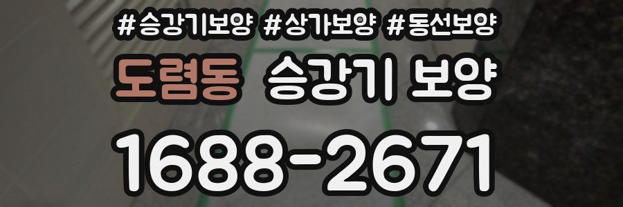 도렴동 승강기 보양