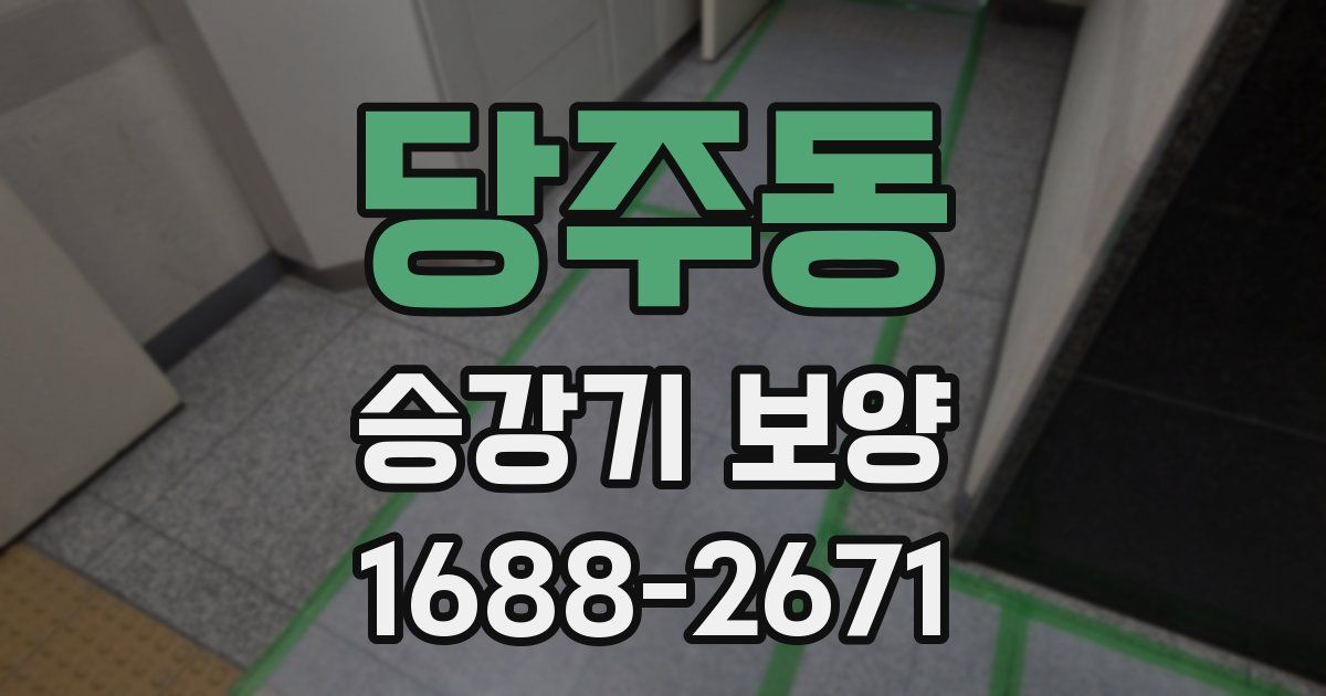 당주동 승강기 보양