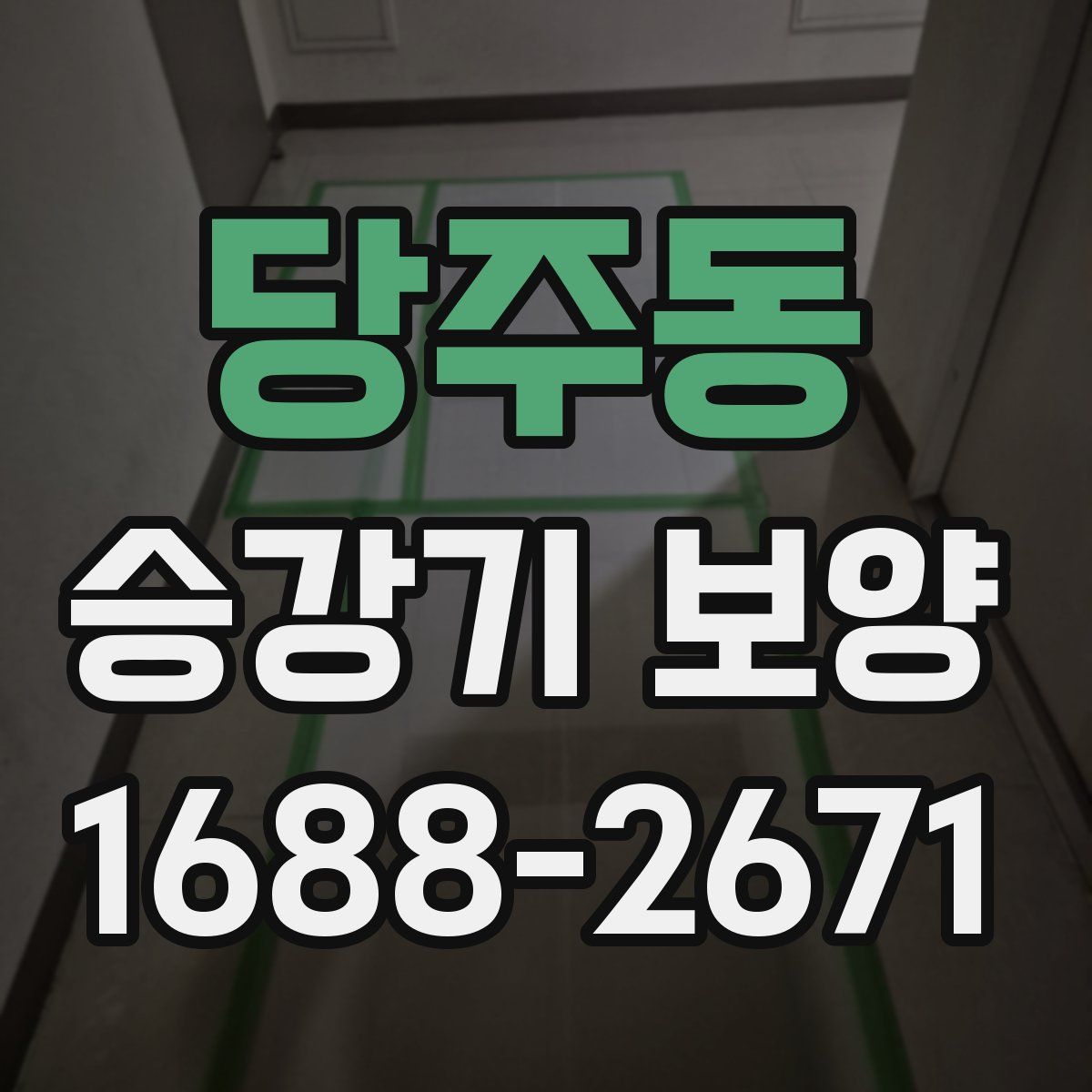 당주동 승강기 보양