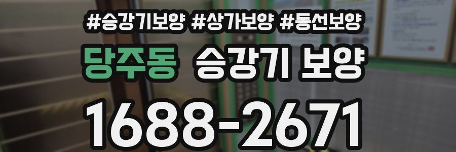 당주동 승강기 보양