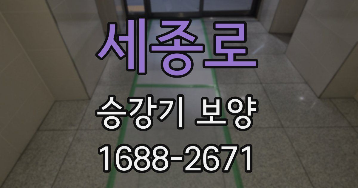 세종로 승강기 보양