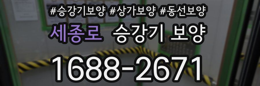 세종로 승강기 보양
