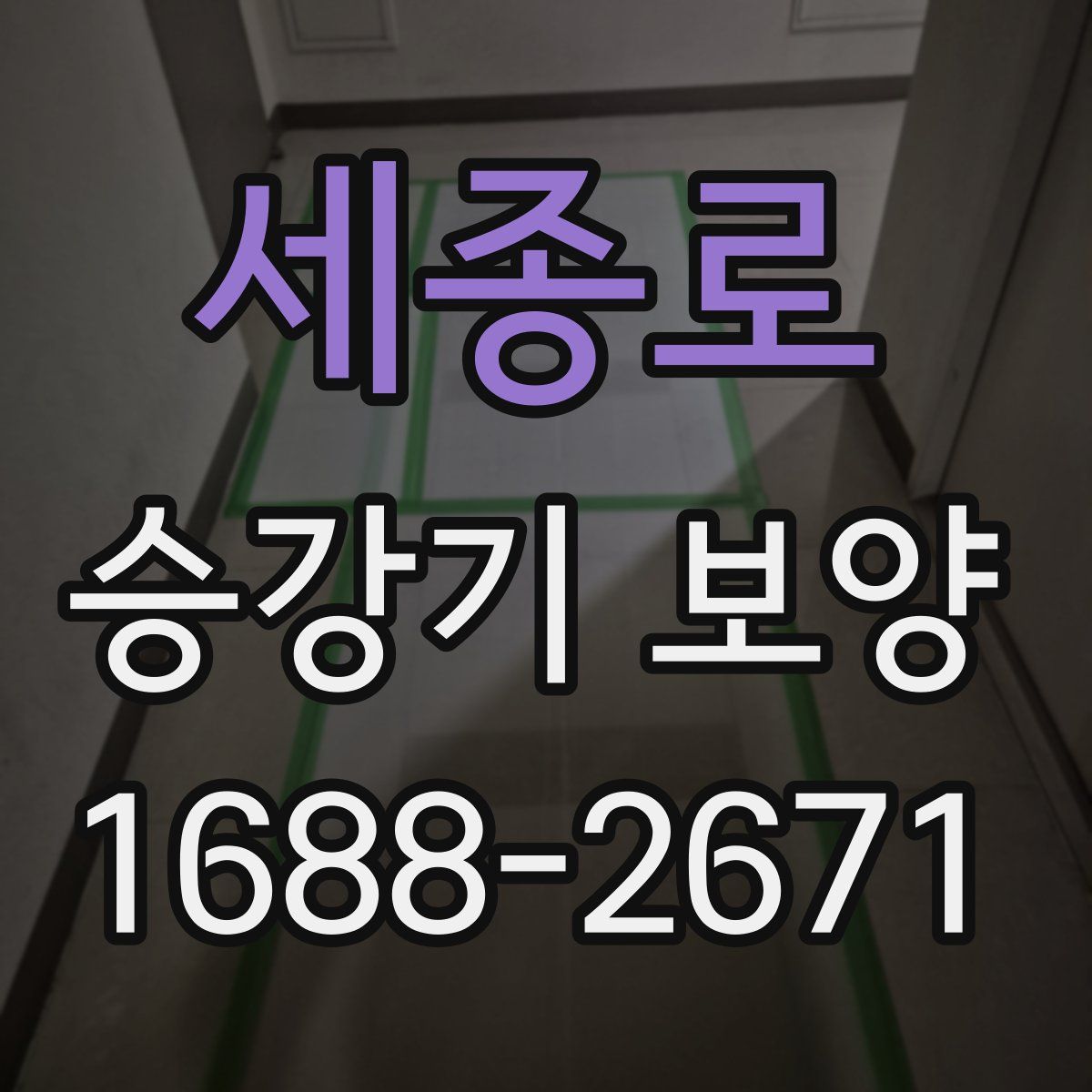 세종로 승강기 보양