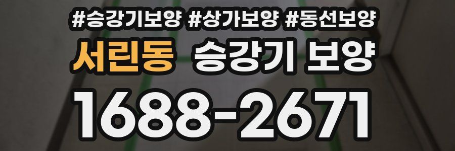 서린동 승강기 보양