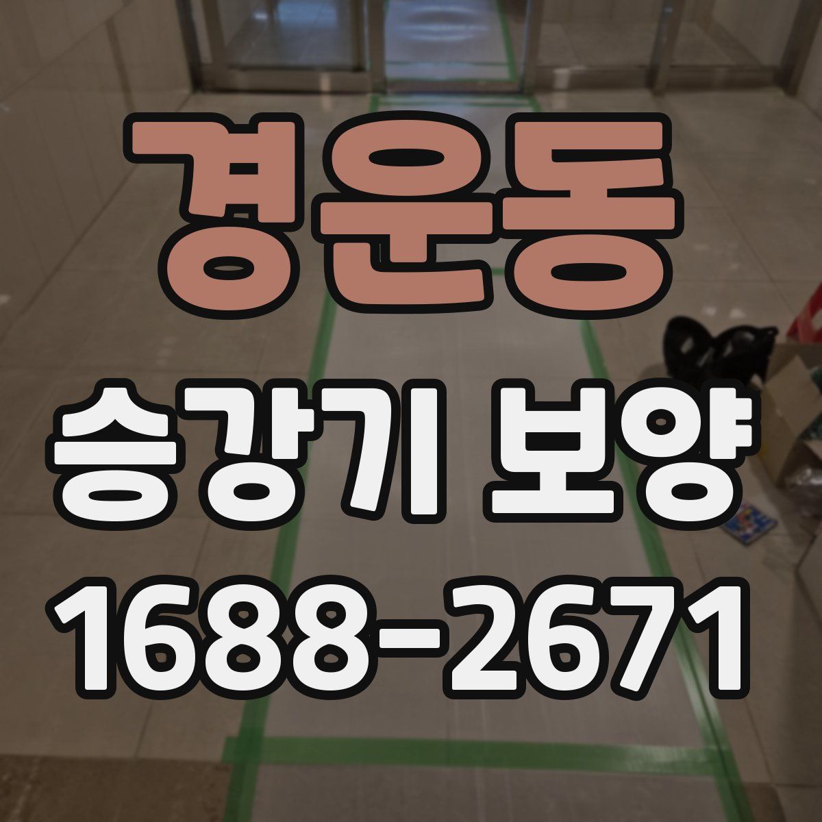 경운동 승강기 보양