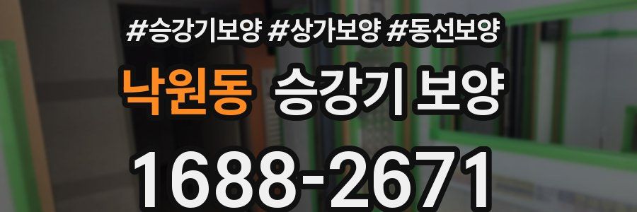 낙원동 승강기 보양
