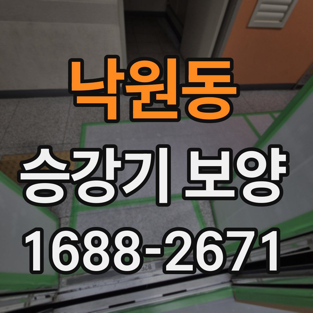 낙원동 승강기 보양