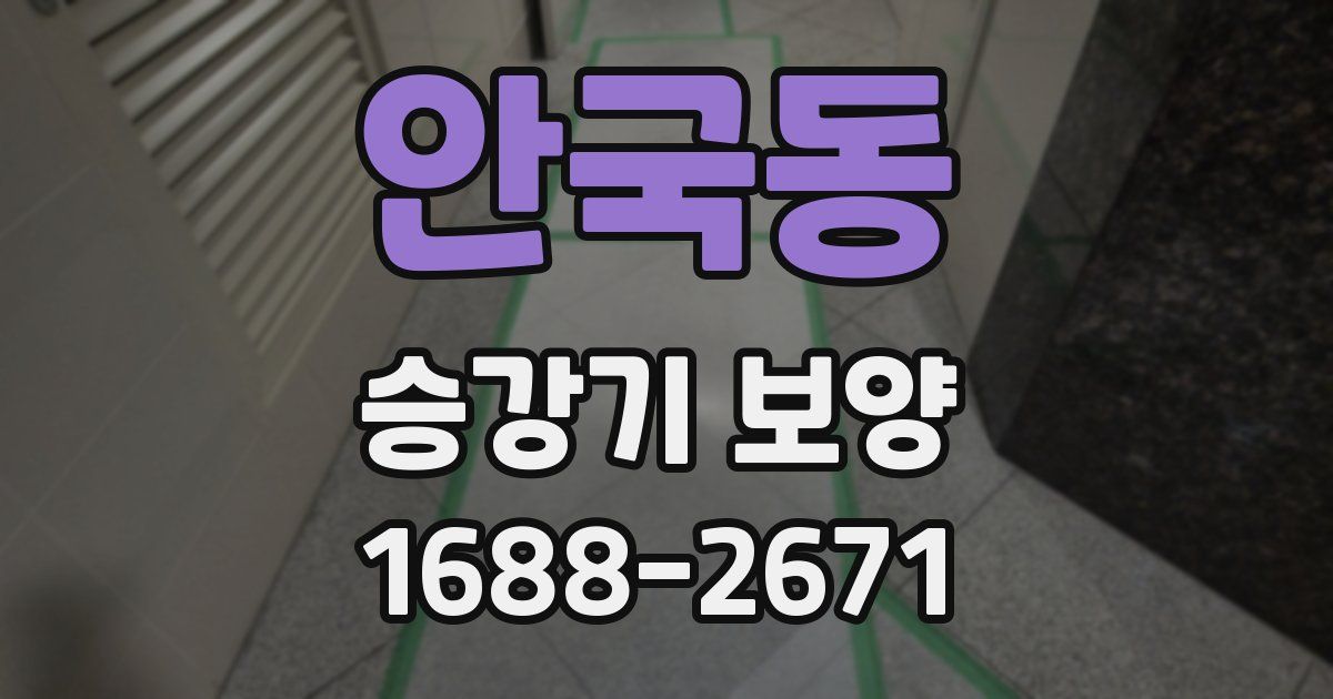 안국동 승강기 보양