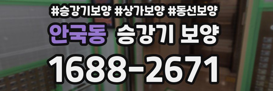 안국동 승강기 보양