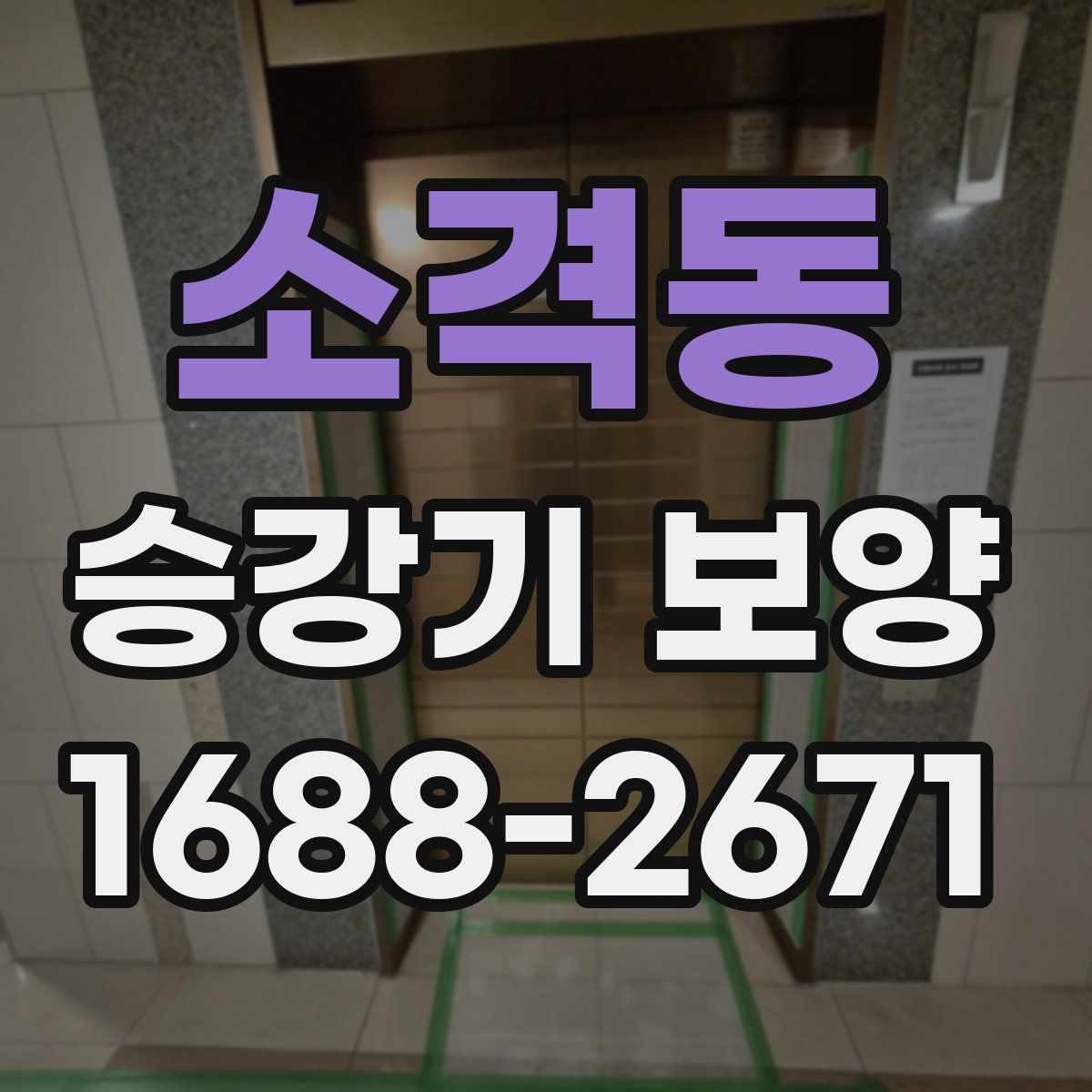 소격동 승강기 보양