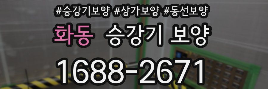 화동 승강기 보양