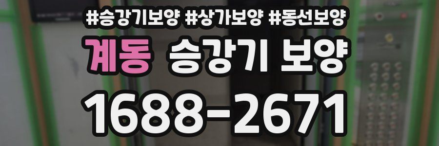 계동 승강기 보양