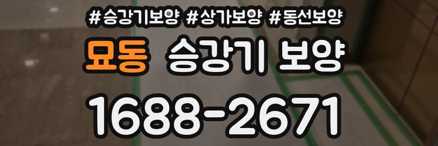 묘동 승강기 보양