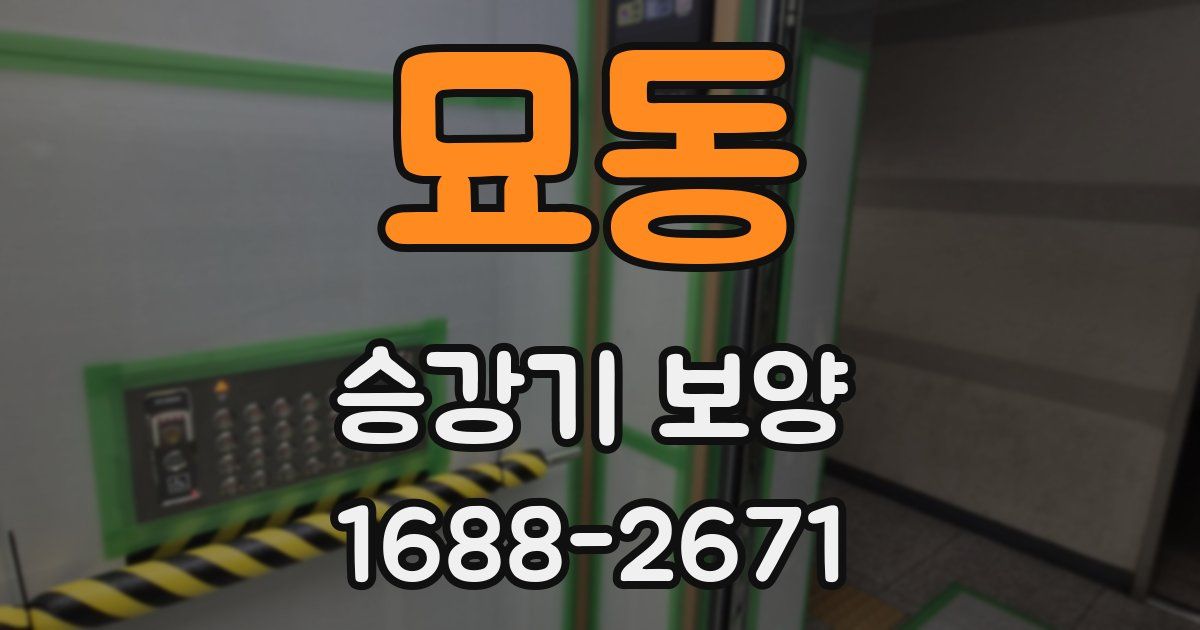 묘동 승강기 보양