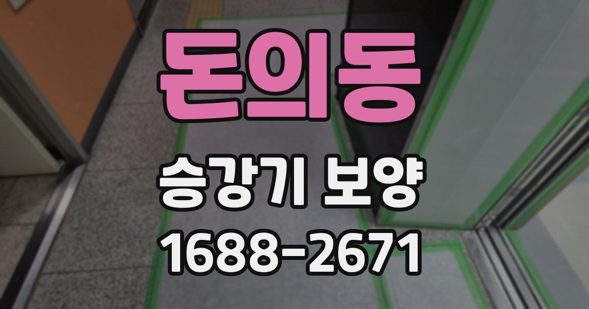돈의동 승강기 보양