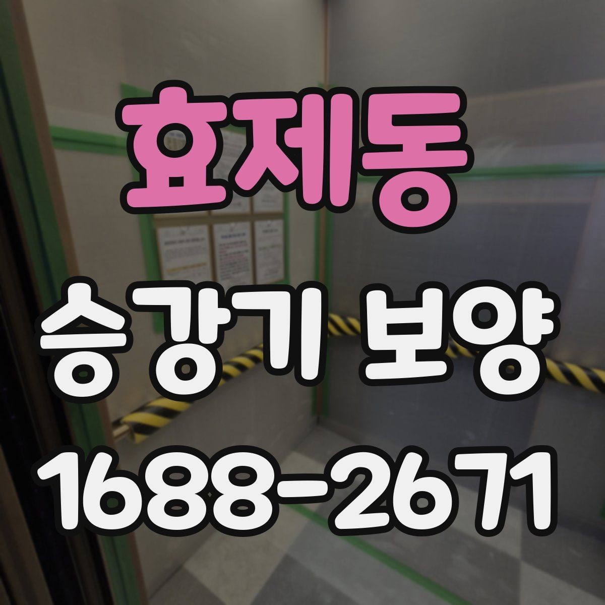 효제동 승강기 보양 적용 전후 비교로 보는 효과
