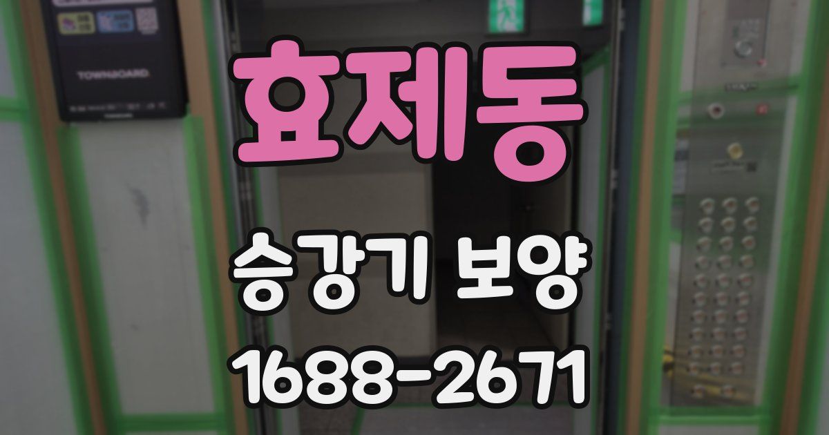 효제동 승강기 보양