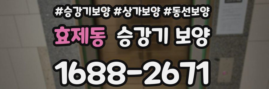 효제동 승강기 보양