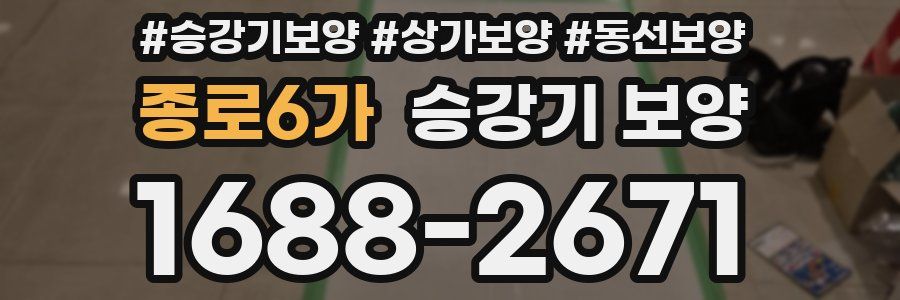종로6가 승강기 보양