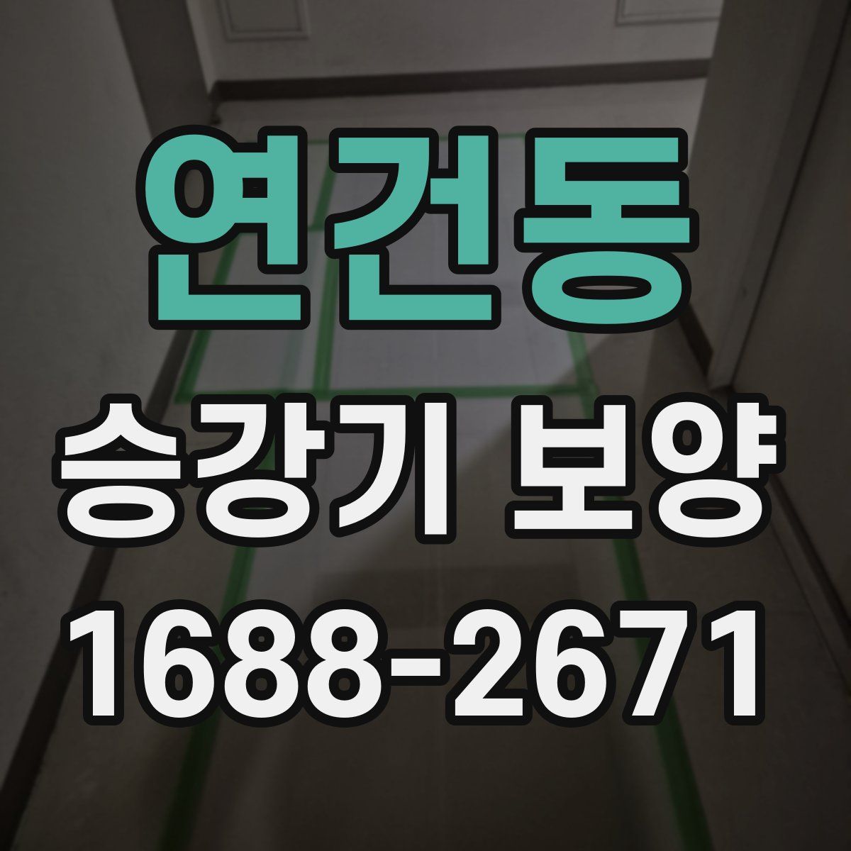 연건동 승강기 보양