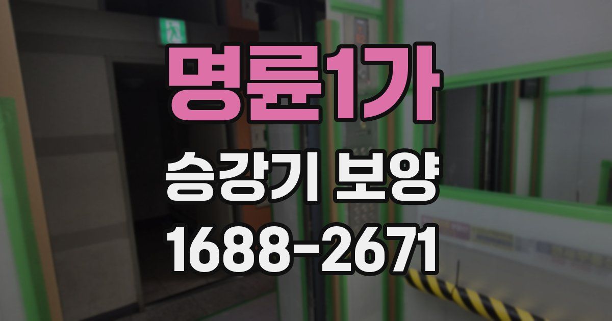 명륜1가 승강기 보양