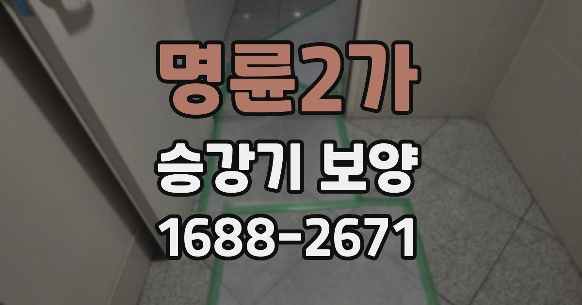 명륜2가 승강기 보양
