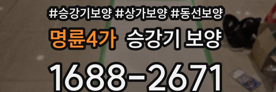 명륜4가 승강기 보양