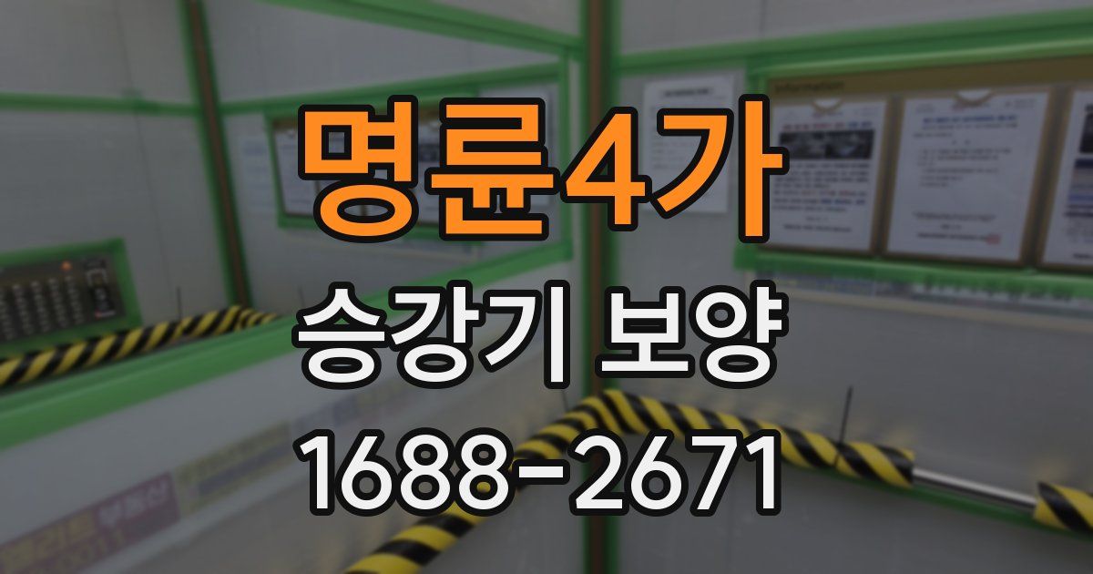 명륜4가 승강기 보양