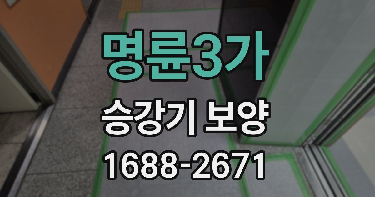 명륜3가 승강기 보양