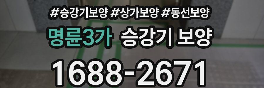 명륜3가 승강기 보양