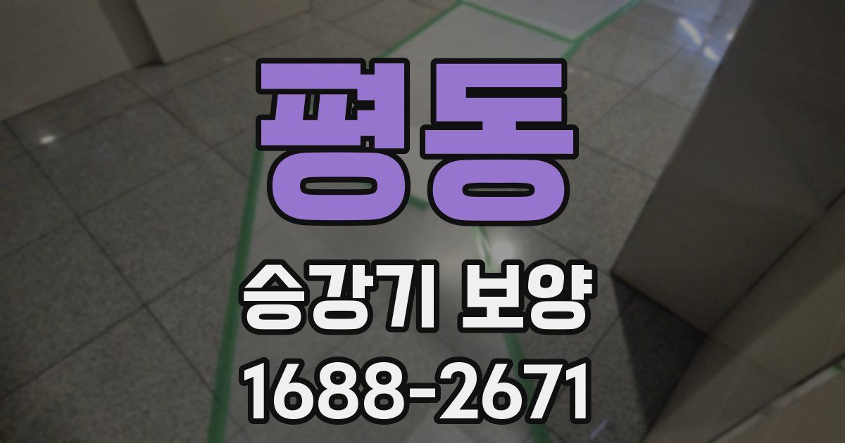 평동 승강기 보양