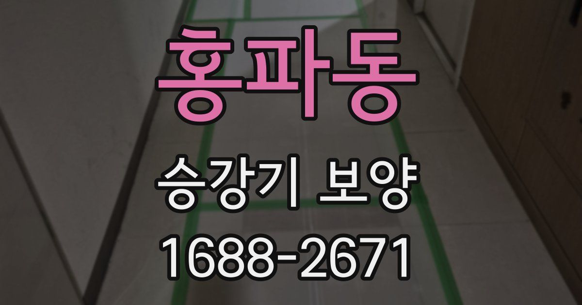 홍파동 승강기 보양