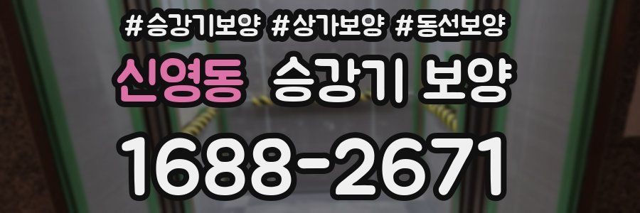 신영동 승강기 보양