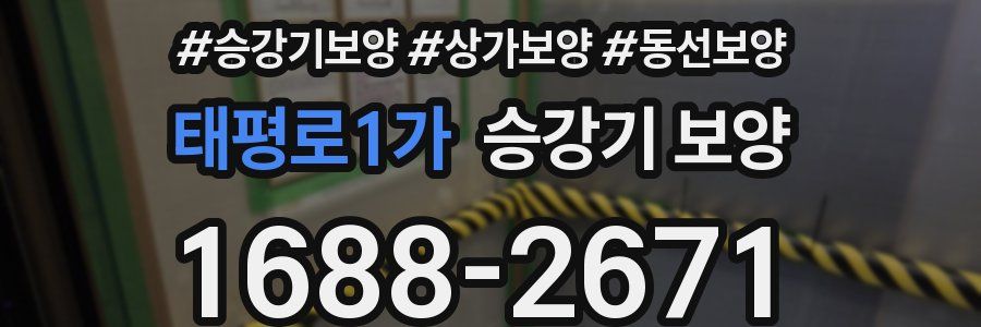 태평로1가 승강기 보양