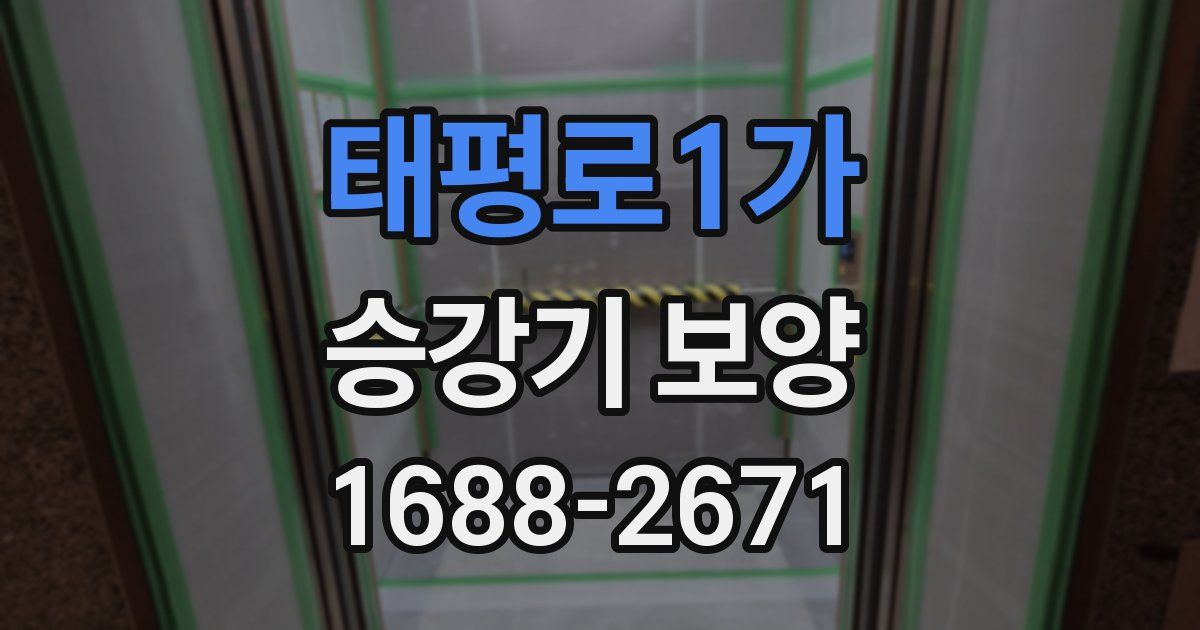 태평로1가 승강기 보양