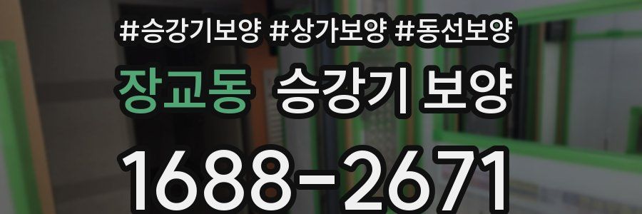 장교동 승강기 보양
