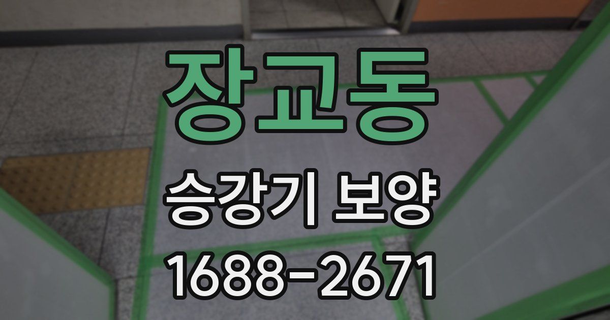 장교동 승강기 보양